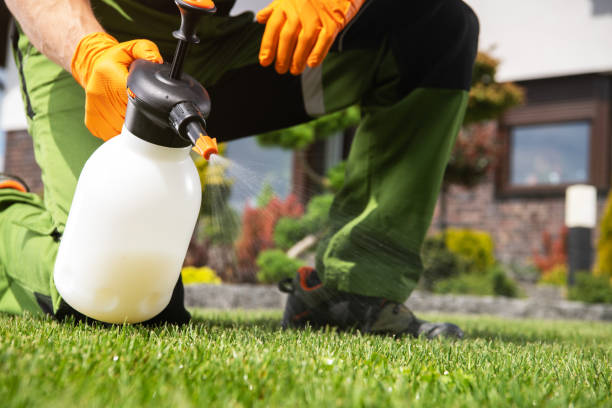 Professional Pest Control in Burnham, IL