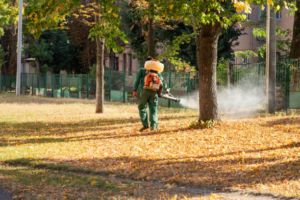 Best Exterminator Services  in Burnham, IL